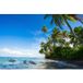 Papier peint panoramique vue mer cocotiers 130 cm x 87 cm