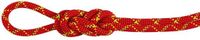 Mammut Alpine Core Protect Dry 8 Mm Touw Rood 70 m