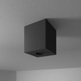 HOFTRONIC SMART HOFTRONIC - Gibbon Opbouwspot Badkamer IP65 - Zwart - Vierkant