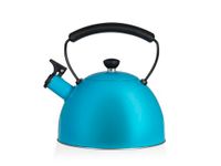 H&H 8842017 Waterkoker met fluitje, Roestvrij staal, 2,3 L, Inductie