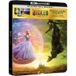 Wicked: Partie II Édition Limitée Steelbook 4K Ultra HD Blu-ray FR