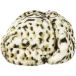 Kangol Bivakmuts Leopard
