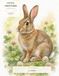 Little Critters Among the Flowers: A Guided Watercolor Coloring Book