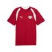 PUMA Maillot d'entraînement RB Leipzig Homme, Accessoires, Rouge, S