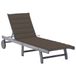 VidaXL Lounge Stoel Gecapitonneerde Zitting Acaciahout Grijs, Taupe