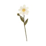 Tak madelief Branche, pâquerette, feutrine, 24 cm