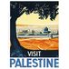 Wee Blue Coo Travel Palestine Mosque City Holy Land Tree Art Print Poster Wall Decor 12X16 Inch