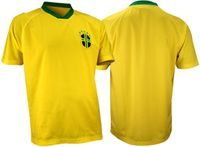 Avento Voetbalshirt Supporter - Senior - Geel/Blauw/Groen - XXL