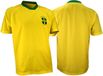 Avento Voetbalshirt Supporter - Senior - Geel/Blauw/Groen - XXL