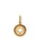Lucardi Dames Stainless steel goldplated hanger ster voor dames - Hanger - Staal - Goudkleurig