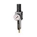 Riegler FU 821-M filterregelaar "FUTURA", MB, SR, Mano, BG 1, G 1/4, 0,5-8 bar, VA, 1 stuk