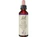 NELSONS GMBH Bach-Blüte Water Violet, 20 ml Lösung