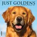 Willow Creek Press Just Goldens 2027 7 X 7 Mini Wall Calendar