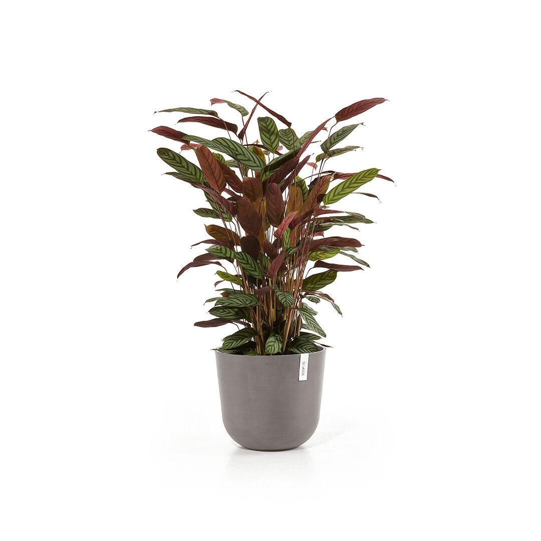 Ecopot Oslo - Taupe - Kunststof - 217302