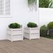 Jardin Jardinière, 2 pièces, blanc, bois massif, pin