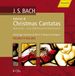 Outhere Gächinger Kantorei, Bach Collegium Stuttgart, Helmuth Rilling - J.S.Bach: Advent & Christmas Cantatas (6 CD)