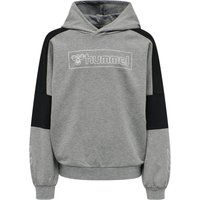 Kinder sweatshirt met capuchon Hummel hmlBOXLINE