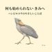 何も始められない きみへ ― ハシビロコウのやさしいことば