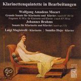 Mozart/Brahms: Bayer Records Klarinettenquintette In B
