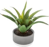 Atmosphera Plante Artificielle - En Pot De Ciment - H22 cm