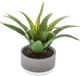 Atmosphera Plante Artificielle - En Pot De Ciment - H22 cm