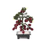 Lachineuse Beschermende druivenboom