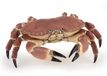 Papo Krab 56047