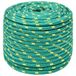 vidaXL Multifunctioneel touw 12 mm 100 m Vert PP