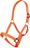 HKM Halster -Stars Economy Softice- Neonoranje Polyester