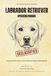 Labrador Retriever Operating Manual: A Declassified Guide to Your Indestructible Eating Machine