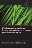 Postrzeganie OmniScriptum SRL Postrzeganie wplywu kredytów rolniczych przez plantatorów ryżu Paperback