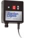 Lumières de jardin 12V Minuterie + capteur sombre-clair
