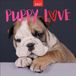 Puppy Browntrout Puppy Love 2027 12 X 24 Inch (Hanging) Monthly Square Wall Calendar Plastic-Free