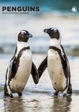 CalendarsRUs Pinguin A3 Wandkalender 2027 Dieren