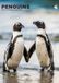 CalendarsRUs Pinguin A3 Wandkalender 2027 Dieren