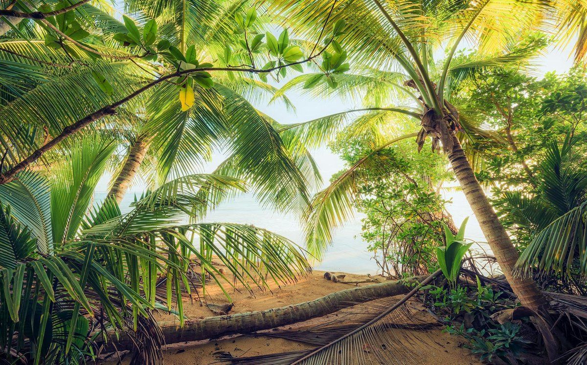 KOMAR Piratenversteck Vlies Fotobehang 450x280cm 9-banen