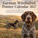 German Wirehaired Pointer Calendar 2027
