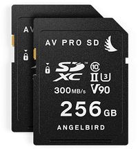 Angelbird Match pack for Panasonic GH5/GH5S 2x SD256