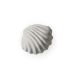 Cooee Design Sculpture The Clam Shell 13 cm Limestone