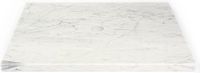 Saniclass Dia Wastafelblad - 60x46cm - Marmer - Wit Gepolijst