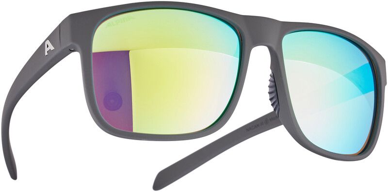 Alpina Nacan III Bril - Grijs