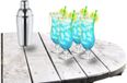 Royal Leerdam Cocktailshaker 500 ML - met 4x Pina Colada cocktailglazen - 440 ml