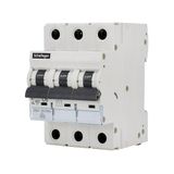 Automatische Legrand Automatische schakelaar 6KA 3-polig C 06A, ideaal voor de bescherming van stroomcircuits en overladingpreventie.
