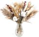 Ibenzoa® Natuurlijke Gedroogde Pampas Gras Bos voor Boho Decoratie en Bruiloften, 95 Stuks
