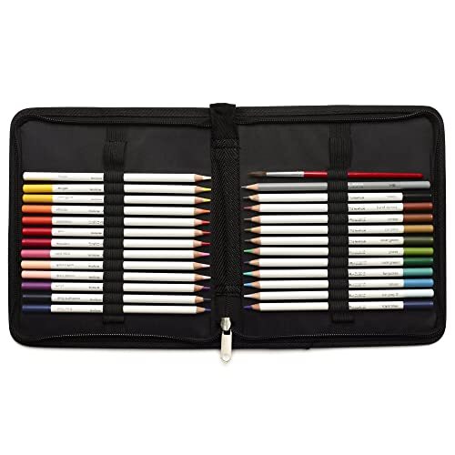 Winsor & Newton 2090005 26-delige cadeauset om te schetsen, te illustreren, te tekenen voor kunstenaars met 24 aquarelstiften, 1 schetsstift in HB en 1 penseel