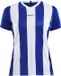 Craft Progress Jersey Stripe W 1905568 - Club Cobolt - XXL