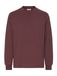 !Solid Sweatshirt 'SDReynaldo' donkerbruin