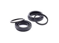 TRW SJ1039 Reparatieset, remklauw