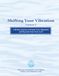 Shifting Libri GmbH Shifting Your Vibration, Volume 2