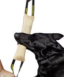 DINGO 10554-2 Jute sleepspeelgoed, sterk, met 2 handgrepen, trektouw voor hondentraining, ophalen, bijtenwerk, prooiaandrijving, touwtrekken, plezier, handgemaakte fopspeen, 60 cm, natuurlijke kleur